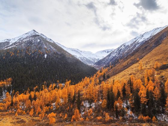 Naizigou Scenic Area