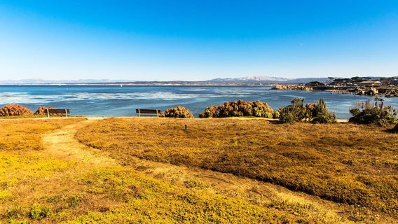 Bird Rock Vista Point