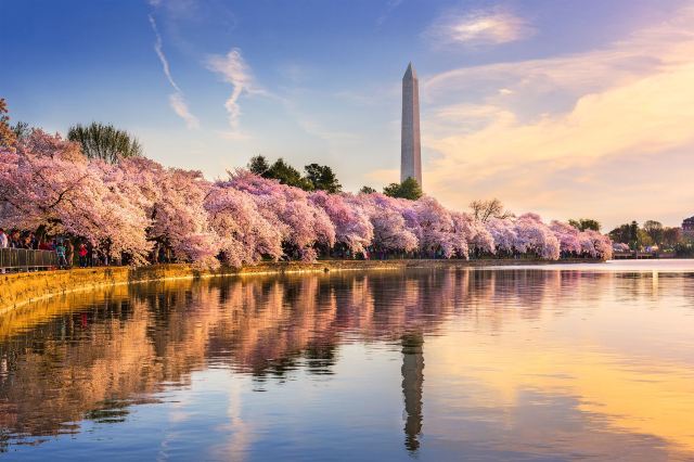 A Walking Guide to Memorials in Washington D.C.