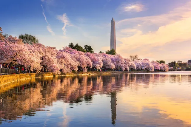 A Walking Guide to Memorials in Washington D.C.