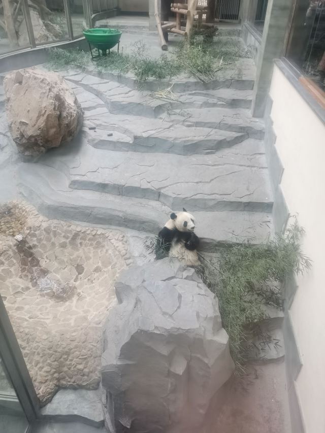 Nanshan Bamboo Sea