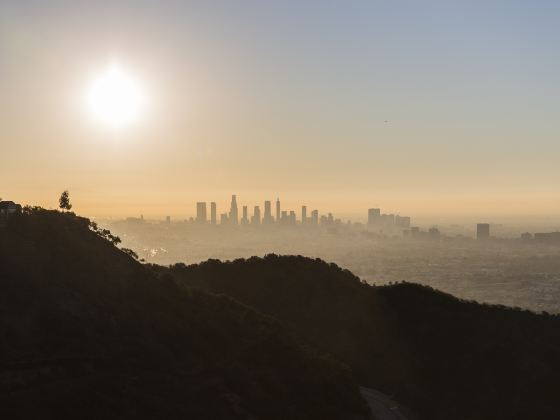 Hollywood Hills