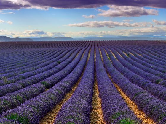 Provence