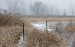 Lalu Wetland Nature Reserve