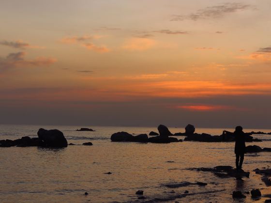 Tiger Stone Marine Park