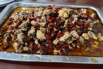 老街兔 User Photo