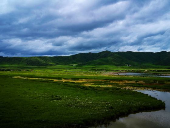Hongyuan - Ruoergai Prairie