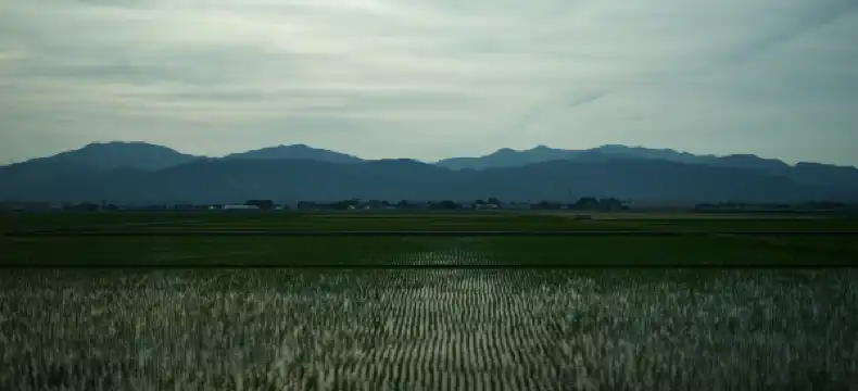 โรงแรมในฟูกูอิ