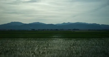 Fukui