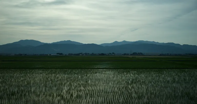 福井日帰り旅行プラン