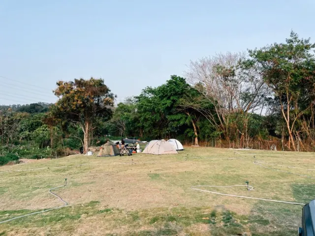 感受車中泊風潮 熱選汽車營地及露營車住宿