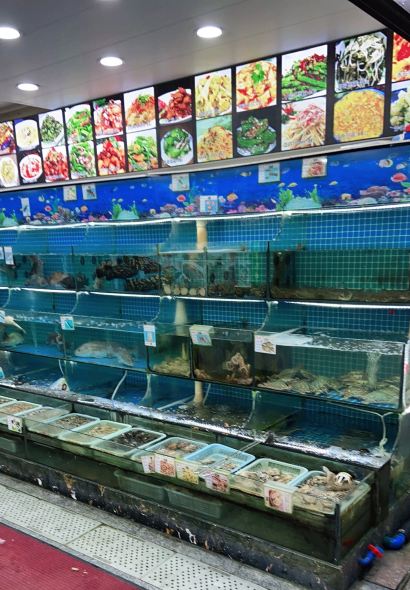 金潮饭店(普陀山店)