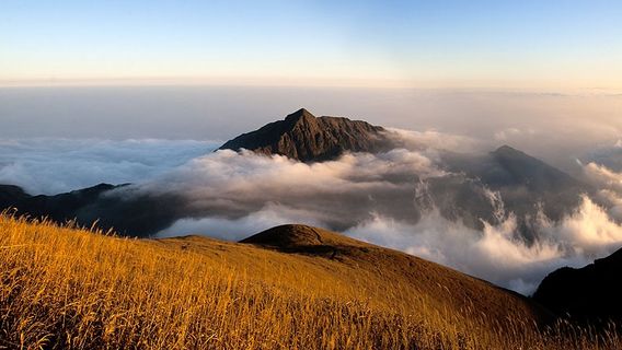 Ji'an Wugong Mountain