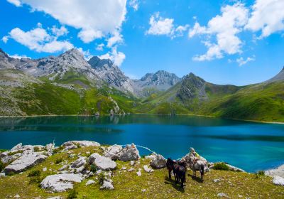 سونغ بان