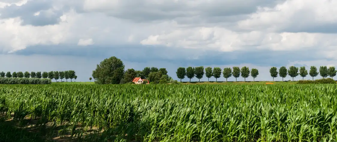 Hotel dekat Beemster Polder