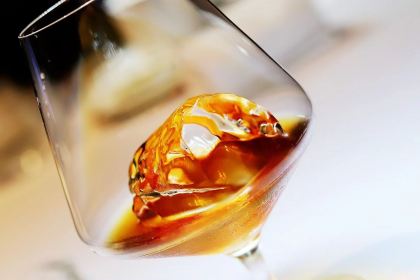 珍品轩鲜菌火锅(滨江大道三段)