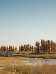 Парк водно-болотных угодий на острове Туаншань