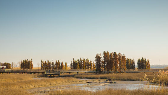 Shuangshandao Wetland Park