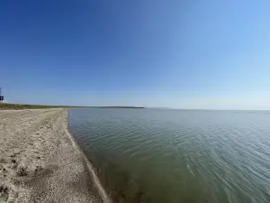 Пейзаж на побережье Цзинь