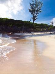 John Smith's Bay Beach