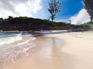 John Smith's Bay Beach