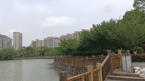 Honghao Forest Park