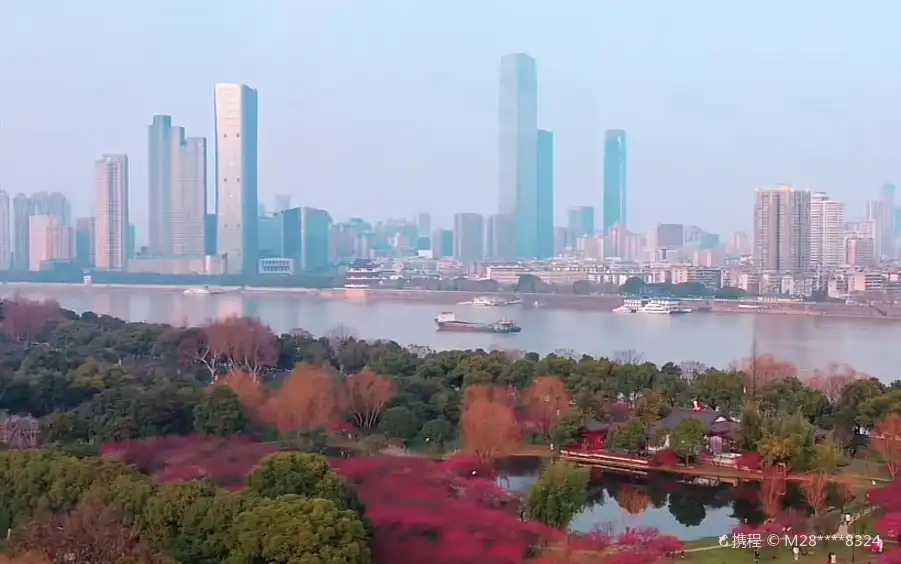 桃園周辺のホテル