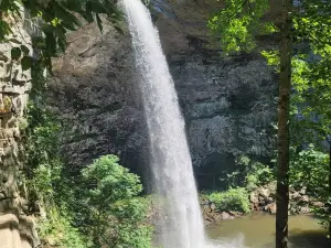 Ozone Falls State Natural Area