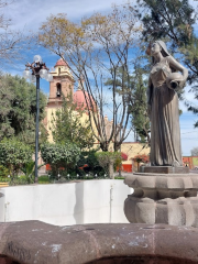 Villa De Pozos Garden