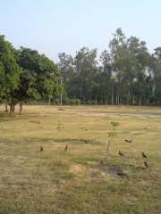 Janakpuri B Block District Park