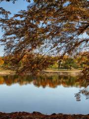 Lake Monticello Park