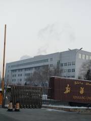 Xinjiang University School Headquarters