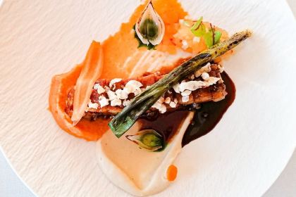 Metropolis Roof Garden