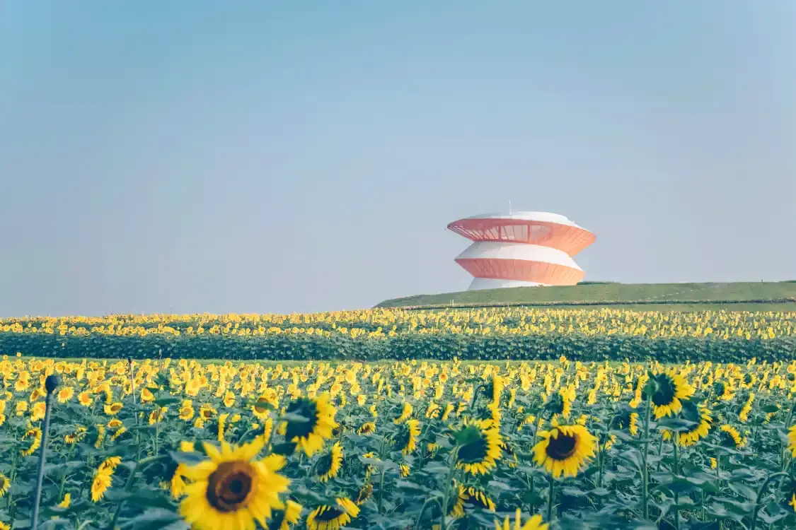 밝고 즐거운 전원 주변 호텔