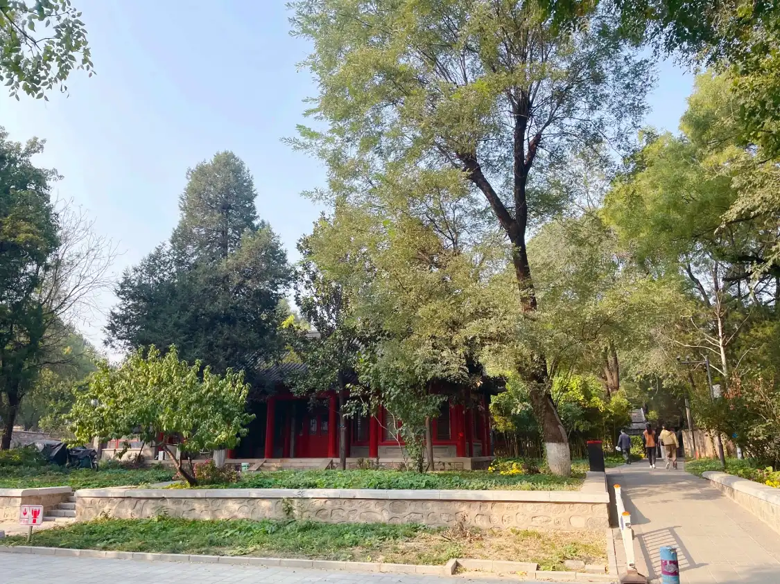 Hotel in zona Nanhu Island
