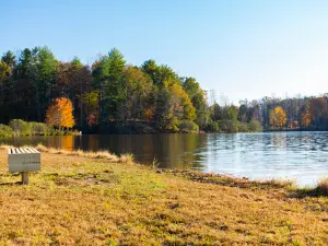 Walnut Creek Park