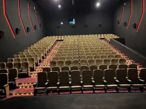 SM5 Multiplex