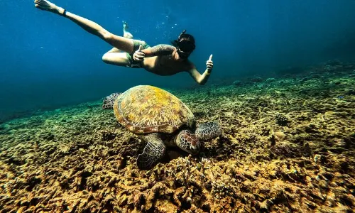 Diving in Kuala Terengganu