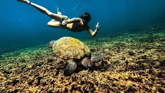 Diving in Kuala Terengganu