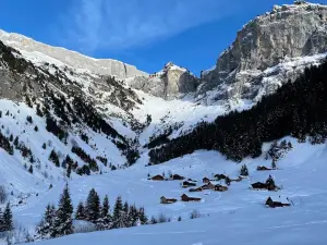 Stäubifall