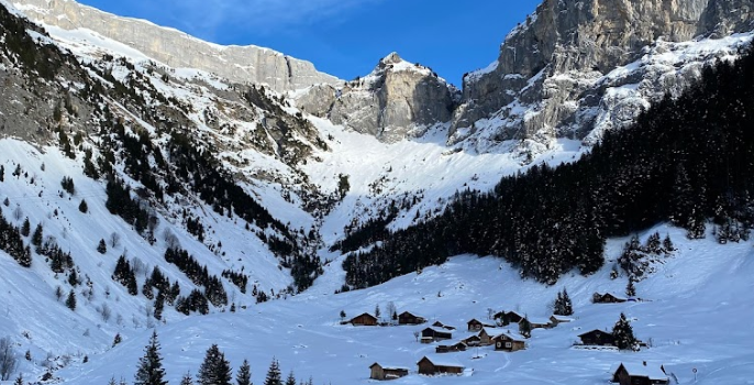 Stäubifall