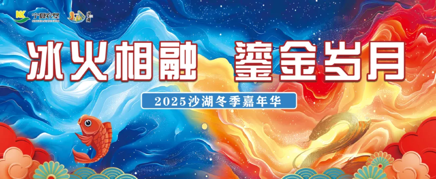 Ningxia Shahu Winter Carnival | Shahu Scenic Area - Natural Bathing Beach