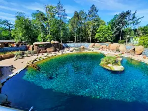 Wrocław Africarium