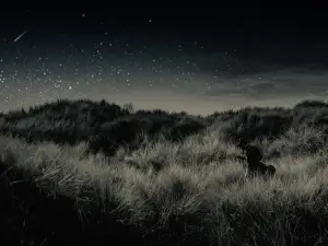 세인트루이스 | Gregory Alan Isakov 콘서트