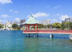 日本樂桃航空台北飛福岡