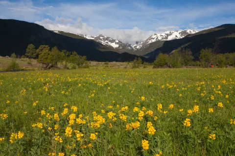 Parco nazionale delle Montagne Rocciose
