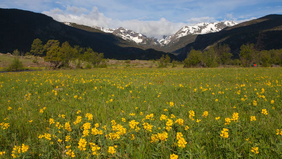 Parc national des Montagnes Rocheuses