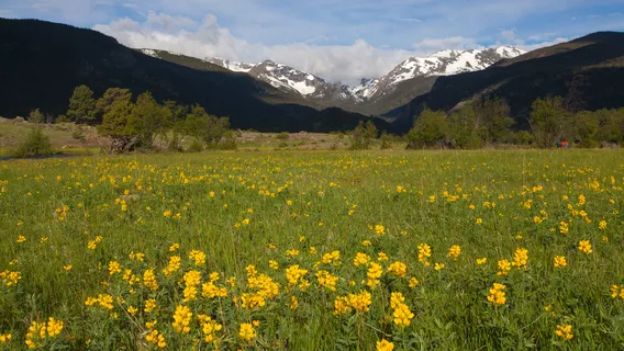Rocky Mountain National Park