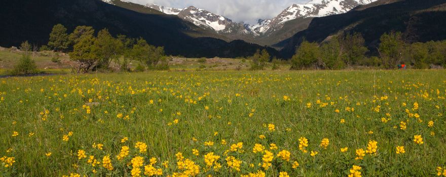 Rocky-Mountain-Nationalpark