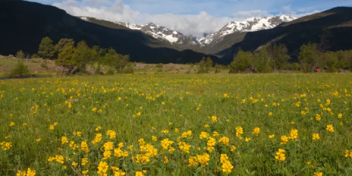 洛磯山國家公園